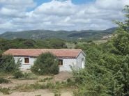 Ginepri