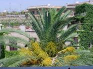 Monserrato