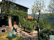 Fattoria di Pietrabuona - Piastriccio grande