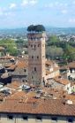 Lucca